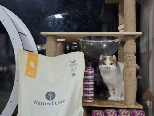 슬라이드 이미지