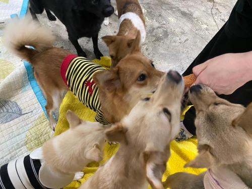 슬라이드 이미지