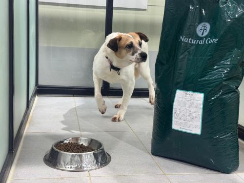 슬라이드 이미지