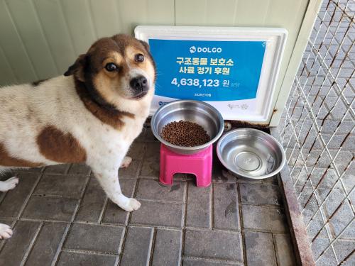 슬라이드 이미지