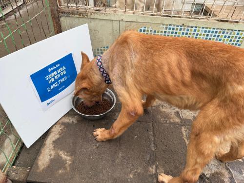 슬라이드 이미지