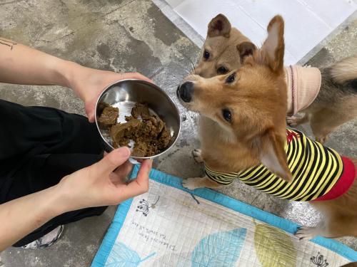 슬라이드 이미지