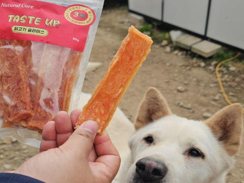 슬라이드 이미지