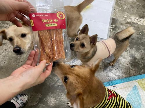 슬라이드 이미지