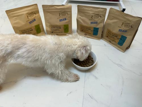 슬라이드 이미지