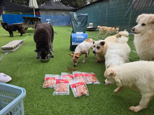 슬라이드 이미지