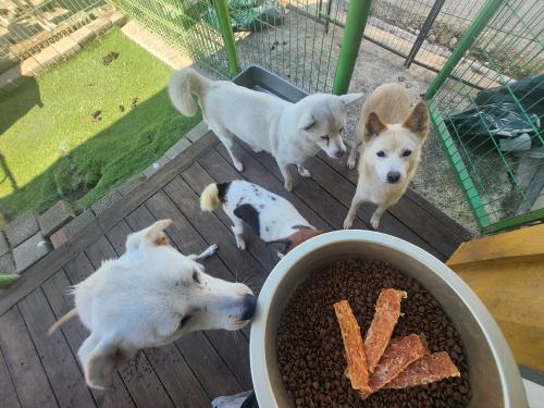 슬라이드 이미지