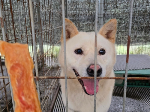 슬라이드 이미지