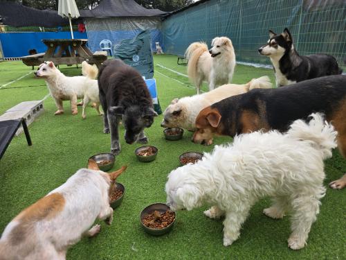 슬라이드 이미지