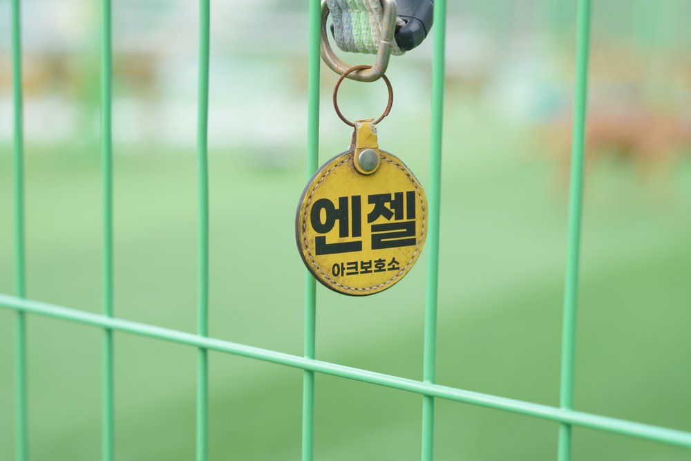 컨텐츠 이미지