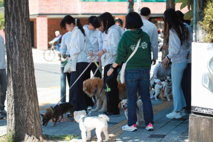 발라당입양센터 9월 산책 봉사