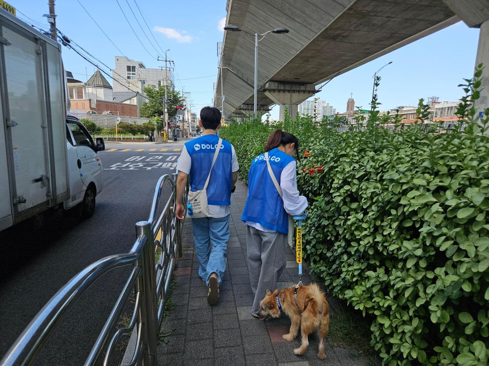 현장 사진