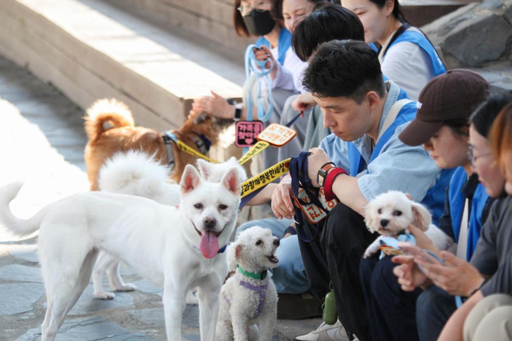 발라당입양센터 10월 산책 봉사