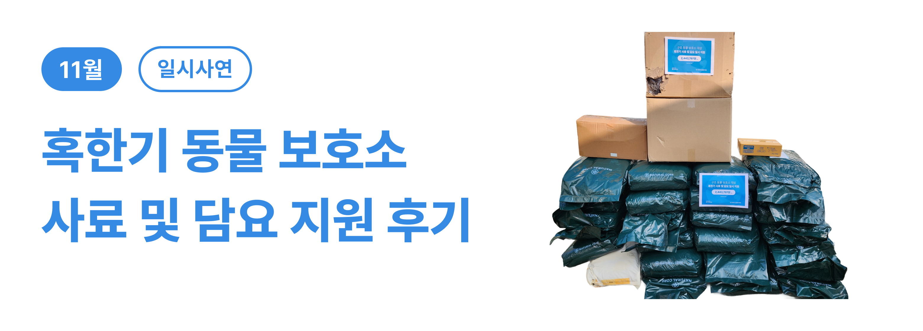 일시_혹한기 동물 보호소 후기