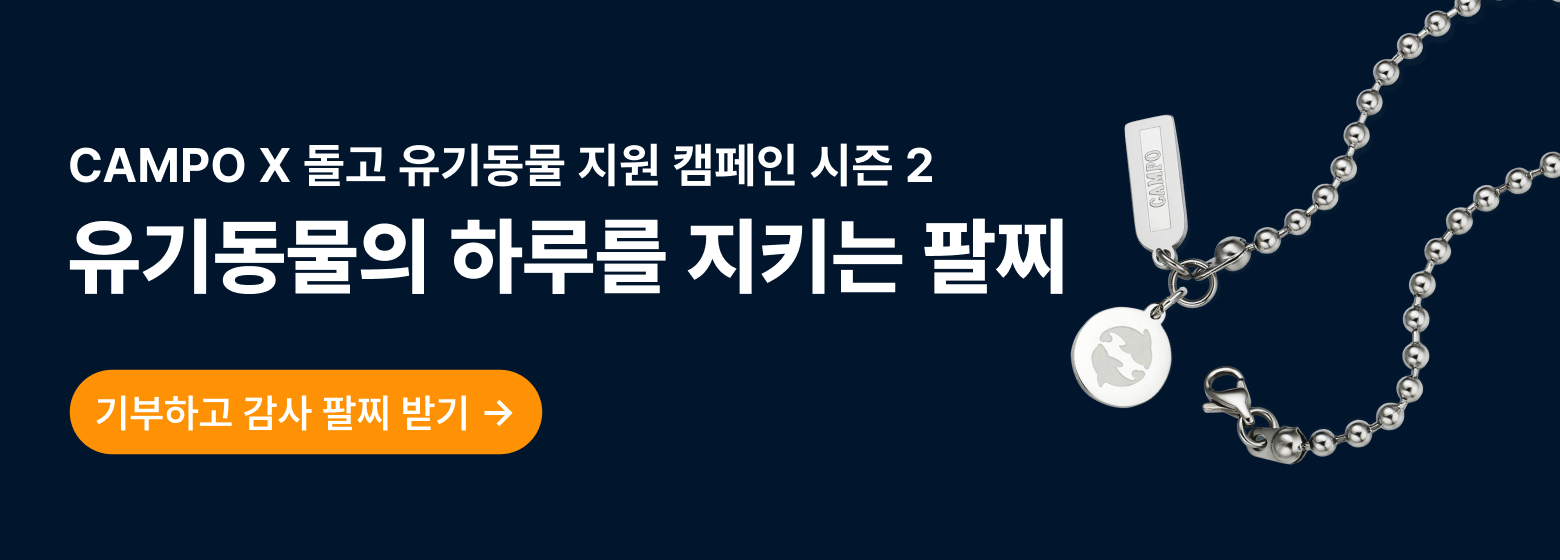 캄포2차캠페인_260831