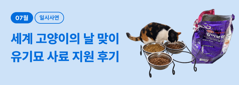 일시_유기묘 사료 지원