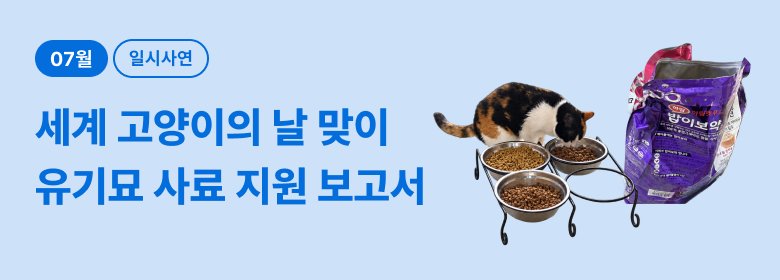 일시_유기묘 사료 지원