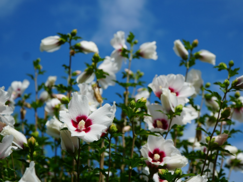 슬라이드 이미지