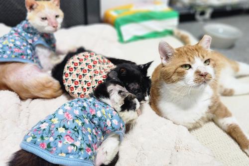 슬라이드 이미지