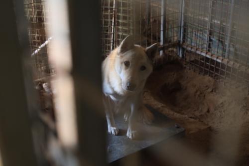 슬라이드 이미지