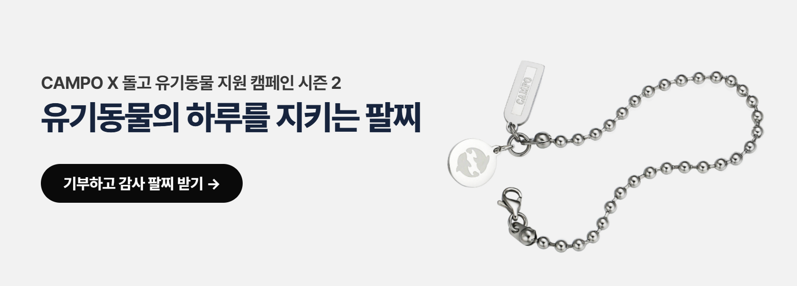 캄포 2차 캠페인