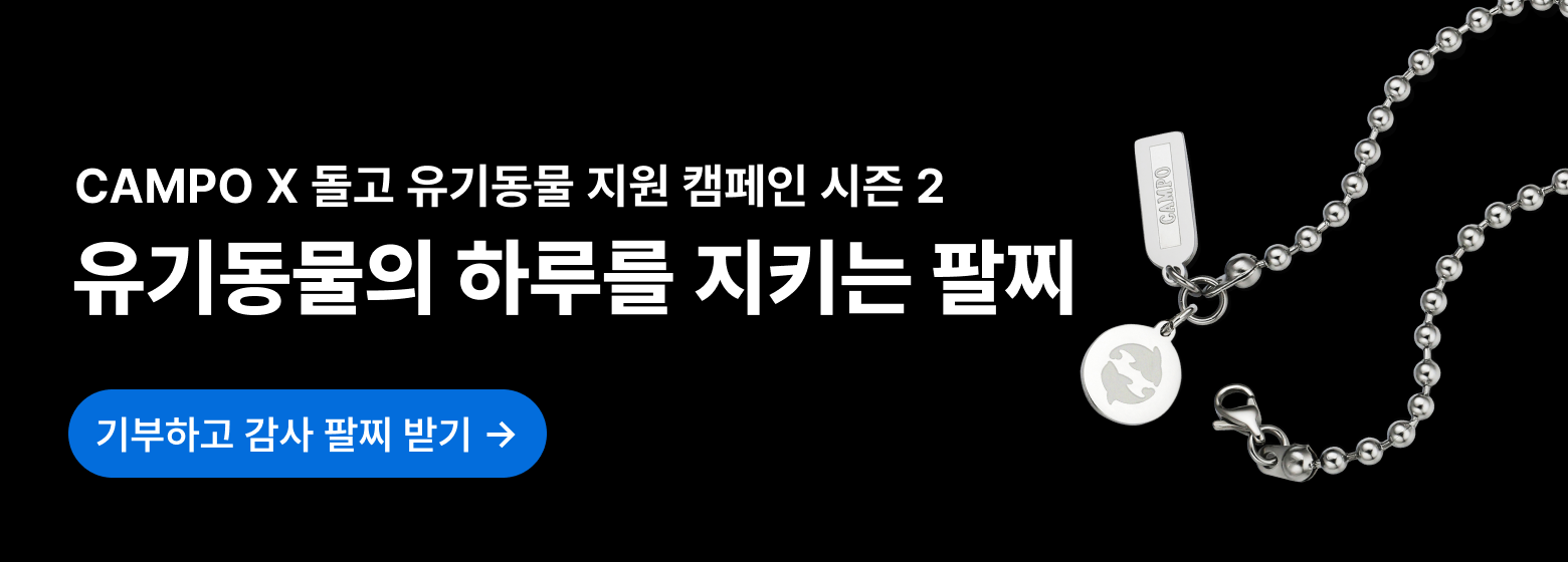 캄포 2차 캠페인