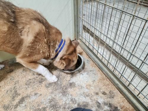 슬라이드 이미지