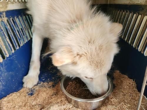 슬라이드 이미지