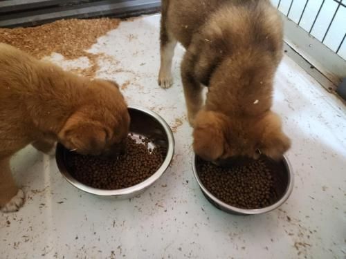 슬라이드 이미지