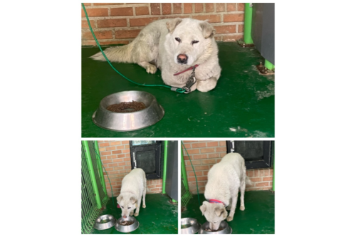 슬라이드 이미지