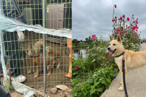 슬라이드 이미지