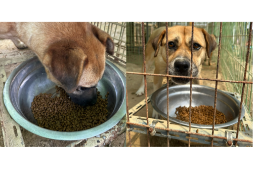 슬라이드 이미지