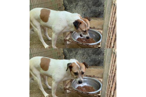 슬라이드 이미지