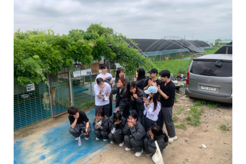 슬라이드 이미지