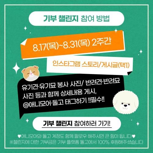 슬라이드 이미지