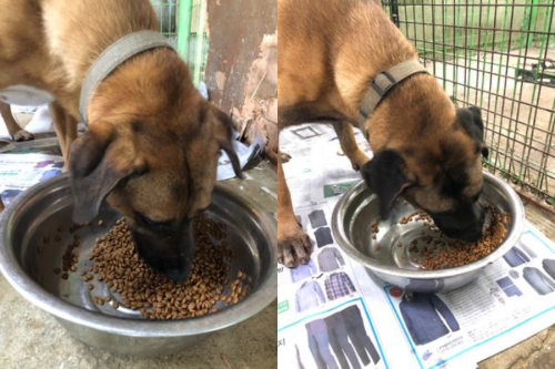 슬라이드 이미지