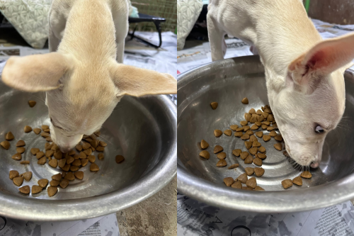 슬라이드 이미지