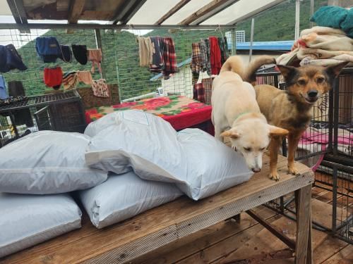 슬라이드 이미지