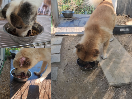 슬라이드 이미지