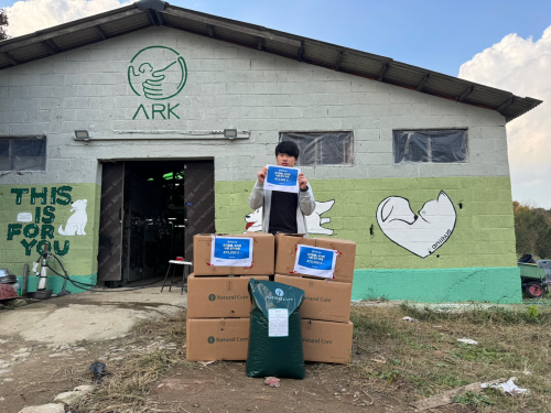 슬라이드 이미지