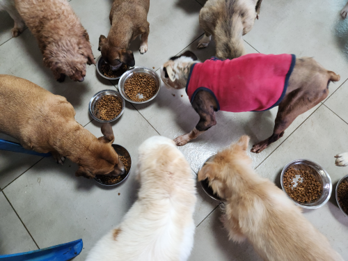 슬라이드 이미지