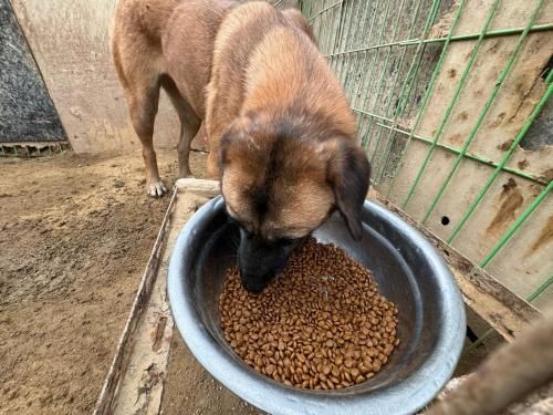 슬라이드 이미지