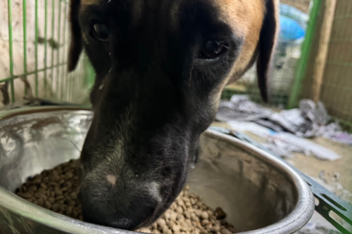 슬라이드 이미지