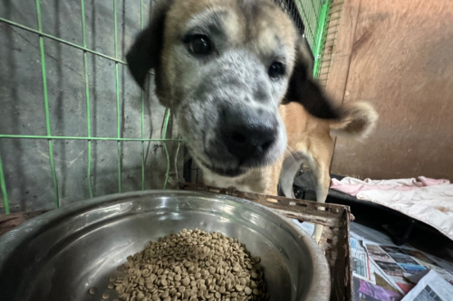 슬라이드 이미지