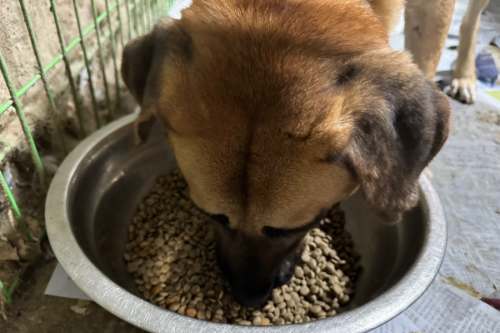 슬라이드 이미지