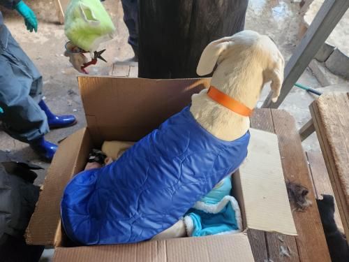 슬라이드 이미지