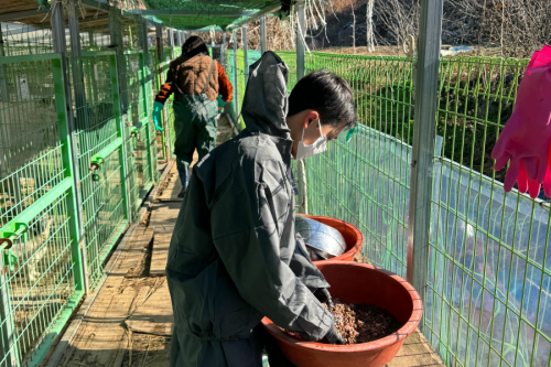 슬라이드 이미지