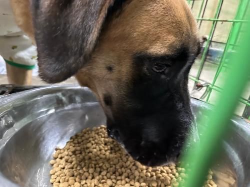 슬라이드 이미지