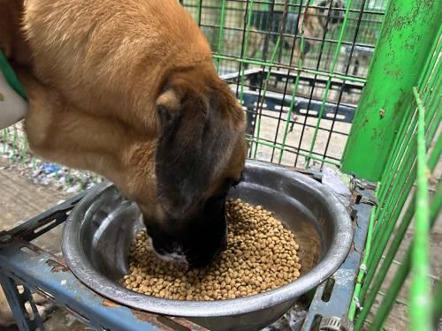 슬라이드 이미지