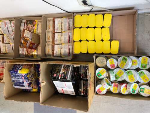 슬라이드 이미지